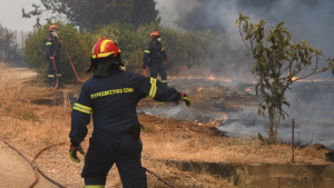 Πυροσβεστική: Βελτιωμένη εικόνα στα μέτωπα των πυρκαγιών σε Αχαΐα, Πρέβεζα, Χίο και Ζάκυνθο