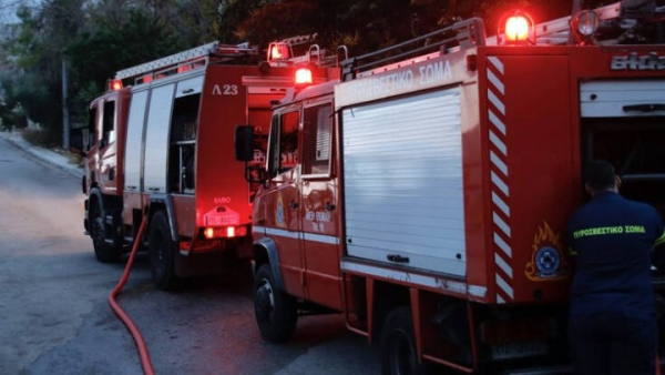 «Ήθελα να καθαρίσω τα ξερά χόρτα» λέει ο 87χρονος για τον εμπρησμό στον Άγιο Στέφανο