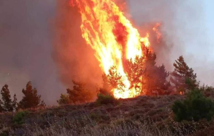 Απολογείται το Σάββατο ο 30χρονος που ομολόγησε τους εμπρησμούς στη Μεσσηνία