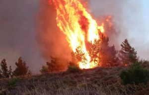 Απολογείται το Σάββατο ο 30χρονος που ομολόγησε τους εμπρησμούς στη Μεσσηνία