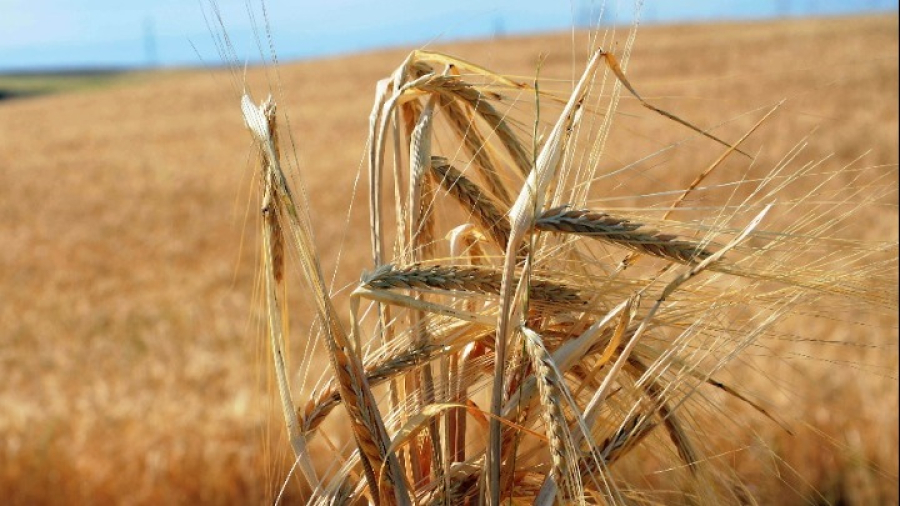 Συμφωνία Βαρσοβίας - Κιέβου για τη διαμετακόμιση των ουκρανικών σιτηρών
