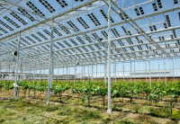 Brite Hellas: Ολοκληρώθηκε η χρηματοδότηση ύψους 8,6 εκατ. ευρώ για την παραγωγή αγροφωτοβολταϊκών