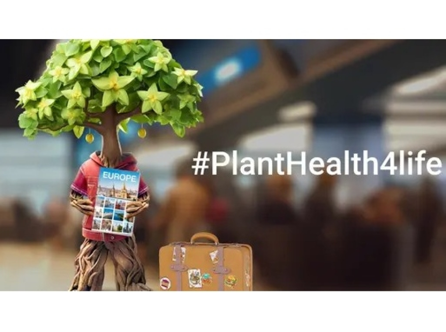 Εκστρατεία #PlantHealth4Life από το ΥπΑΑΤ: Καθημερινές δράσεις για την προστασία της υγείας των φυτών