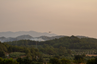 Ρόδος: Συνεχίζεται η μάχη για την κατάσβεση της πυρκαγιάς