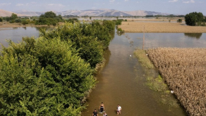 Κακοκαιρία Daniel: Δύσκολη η επόμενη ημέρα για αγρότες και κτηνοτρόφους