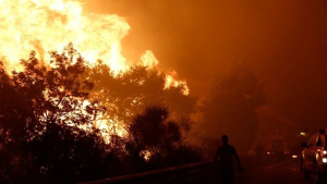 Έφτασε στον Εθνικό Δρυμό η φωτιά στην Πάρνηθα - Συνεχείς ρίψεις από εναέρια μέσα