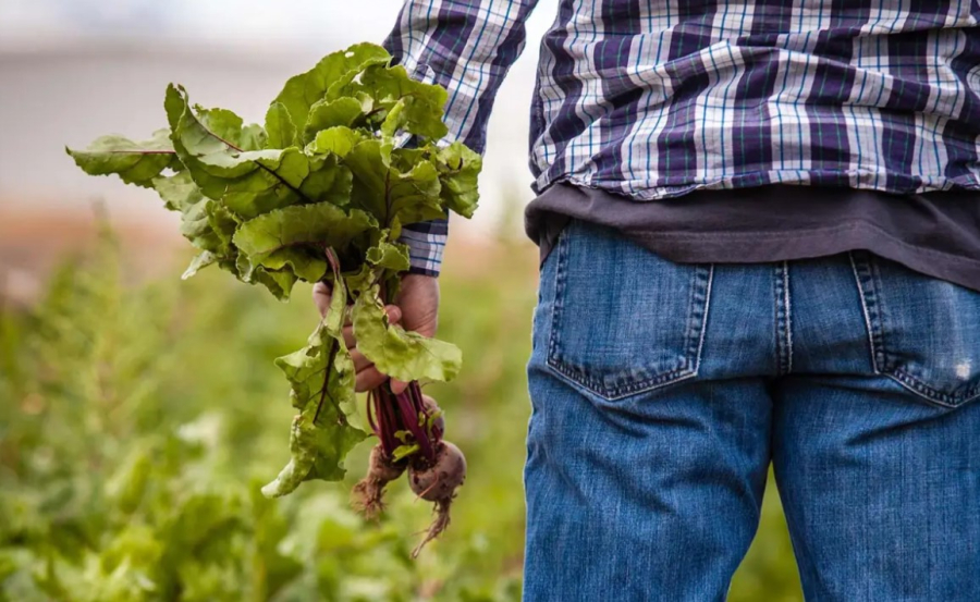 Νέα Γεωργία Νέα Γενιά: Πώς έστρεψε τους επιχειρηματίες της αγροδιατροφής στις νέες τεχνολογίες