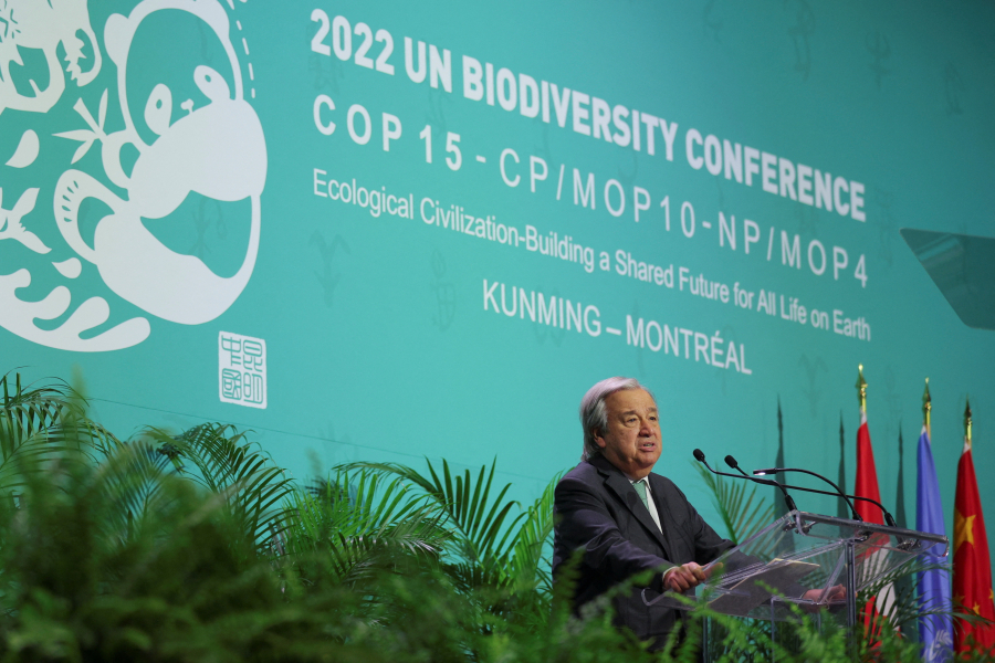 ΕΕ: Απολογισμός επιτευγμάτων 1 έτος μετά την έγκριση του παγκόσμιου σχεδίου COP15 για τη φύση και τους ανθρώπους