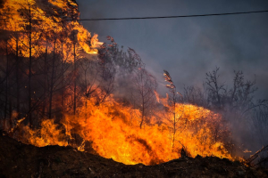 Υπό μερικό έλεγχο η πυρκαγιά σε αγροτοδασική έκταση στον Άγιο Ισίδωρο Μεσσηνίας
