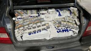 ΑΑΔΕ: Σημαντικά πλήγματα στο λαθρεμπόριο στο β΄εξάμηνο του 2025 - Από λαθραία τσιγάρα μέχρι...σκυλάκια