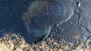 Από ανθρώπινη παρέμβαση έχουν δημιουργηθεί το 94% των πετρελαιοκηλίδων
