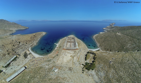 Γ. Αμυράς: Παράταση ειδικής προστασίας της Γυάρου για ένα έτος