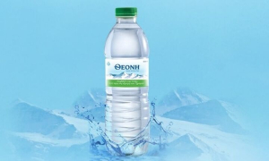 Αύξηση μετοχικού κεφαλαίου για «Θεόνη»