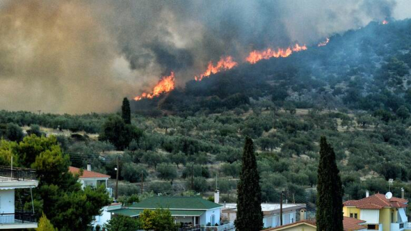 Νέο πύρινο μέτωπο στην Κύμη Ευβοίας