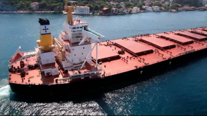 Η Diana Shipping ναυλώνει την "Μυρτώ" σε χαμηλότερη τιμή