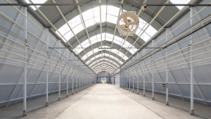 ΤΙΚUN Europe: Τα επόμενα βήματα μετά τη λήψη της άδειας για την έναρξη λειτουργίας