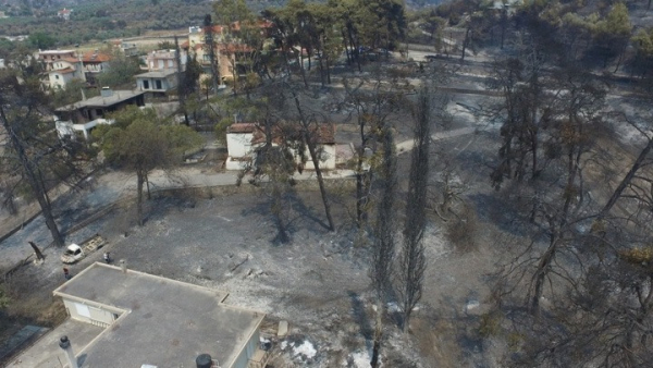 Κατά τα επτά τελευταία χρόνια κάηκε το 23% της Αττικής