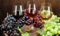 ΚΕΟΣΟΕ: Πτώση κατά 13% στην παραγωγή οίνου στην ΕΕ το 2021