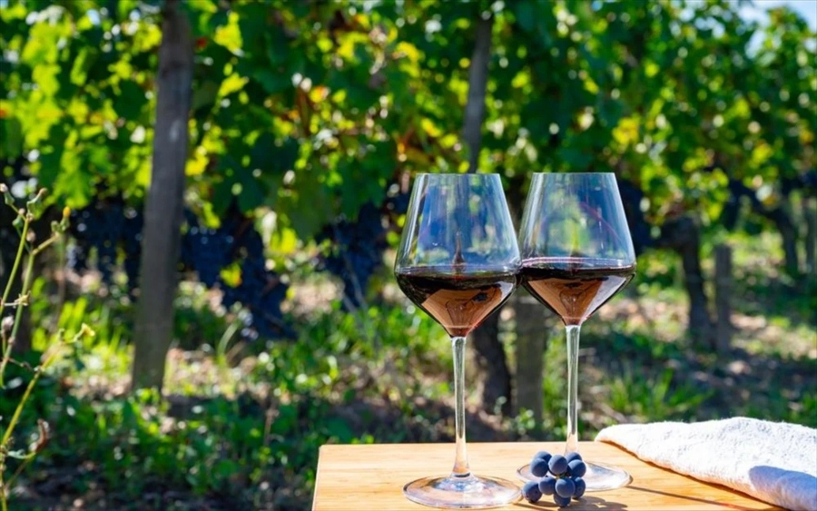 Χρηματοδότηση 14,2 εκατ. ευρώ για την προώθηση του ελληνικού οίνου στο εξωτερικό