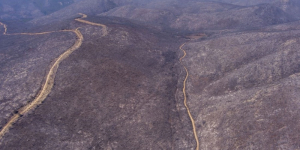 ΥΠΕΝ: Αναστέλλεται κάθε οικονομική δραστηριότητα στο καμένο δάσος του Έβρου