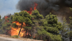 Μυτιλήνη: Μάχη στα Βατερά για να τεθεί υπό έλεγχο η μεγάλη πυρκαγιά