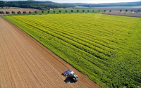 ΠΟΜΙΔΑ: Ζητά παράταση για αγροτεμάχια κάτω των 4 στρεμμάτων