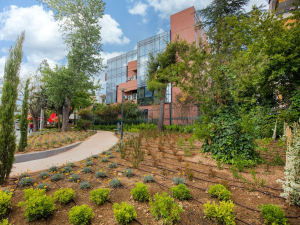 H P&amp;G ολοκληρώνει 20 πάρκα τσέπης