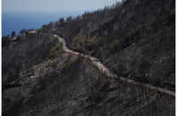 Copernicus: Τι κάηκε από την φωτιά στην Κερατέα Αττικής