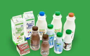 Εβροφάρμα: Αύξηση κερδών +55% το 2025, στα 3,5 εκατ. ευρώ