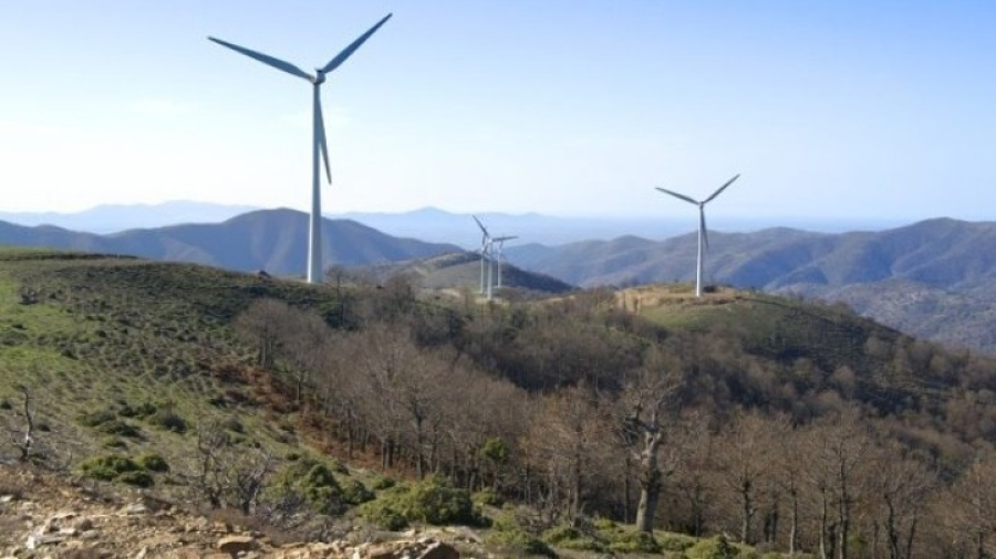 Πυρκαγιά στη Βοιωτία: Εισαγγελική εντολή για έρευνες σε σταθμούς αιολικής ενέργειας