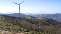 Πυρκαγιά στη Βοιωτία: Εισαγγελική εντολή για έρευνες σε σταθμούς αιολικής ενέργειας
