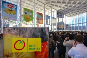Ελληνογερμανικό Επιμελητήριο: 78 εταιρίες από την Ελλάδα και την Κύπρο στην Fruit Logistica 2022