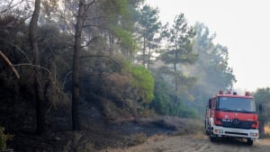 Ρόδος: Έκτακτη ειδοποίηση μέσω του 112 για υψηλό κίνδυνο πυρκαγιάς
