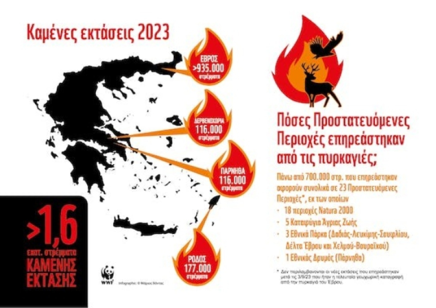 WWF Ελλάς: Ο απολογισμός των φετινών πυρκαγιών