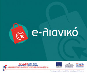 Μακεδονία: Χιλιάδες αιτήσεις για e-shop στο «E-λιανικό» προϋπολογισμού σχεδόν 12 εκατ. ευρώ