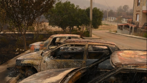Οι εξελίξεις στα μέτωπα των πυρκαγιών - 18 σοροί στον Άβαντα Έβρου - Διερευνάται αν πρόκειται για μετανάστες