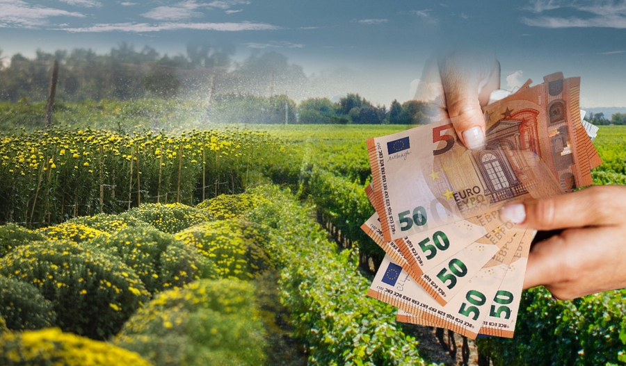 Στα υψηλότερα επίπεδα από το 2023 οι τιμές των Οικολογικών Σχημάτων – Μέχρι τέλος Ιουνίου οι πληρωμές