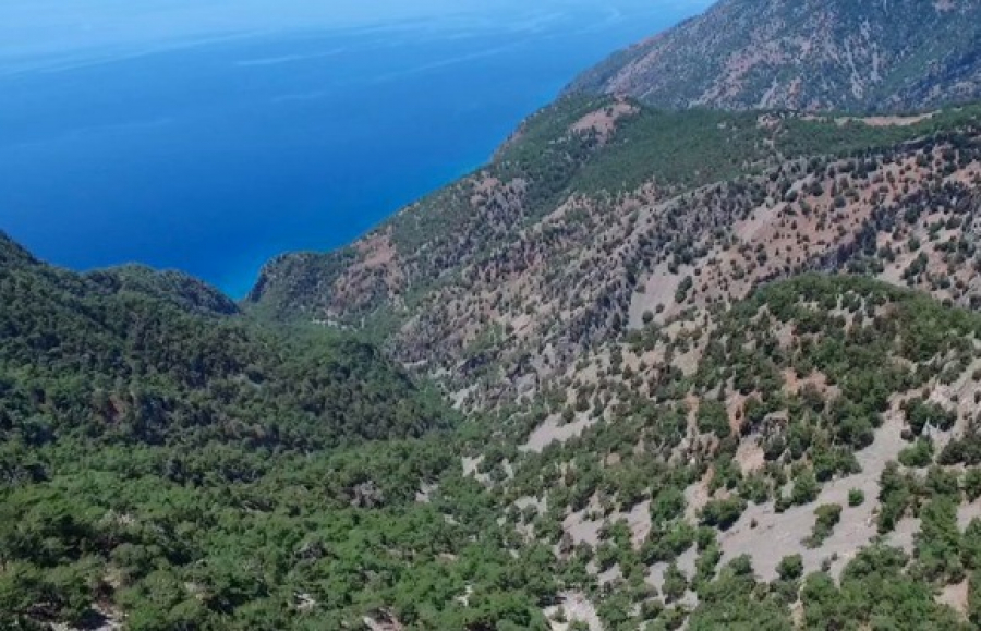 Καύσωνας: Κλείνει για τρεις ημέρες ο Εθνικός Δρυμός Σαμαριάς