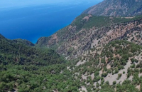 Καύσωνας: Κλείνει για τρεις ημέρες ο Εθνικός Δρυμός Σαμαριάς