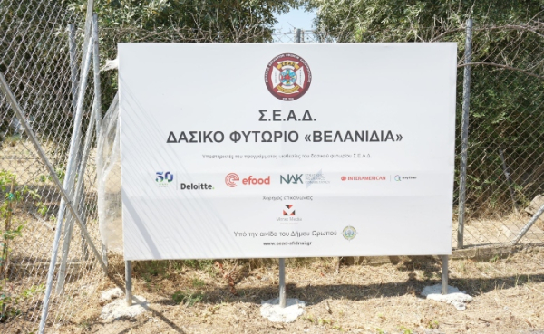 Γνωστές εταιρείες συμβάλλουν ενεργά στη διάσωση των δασών της Αττικής