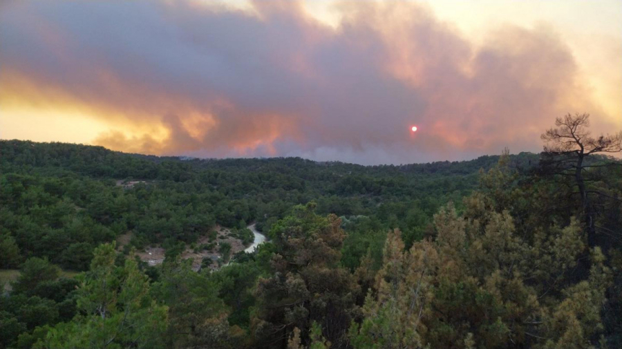 Αρχίζει η οικολογική αποκατάσταση του Εθνικού Πάρκου Δάσους Δαδιάς