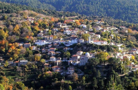 Βαμβακού: Με όχημα το διαδίκτυο θέλει να πάει στην Ευρώπη