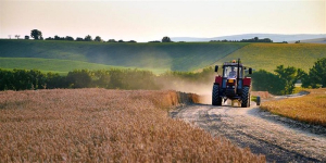 Συμφωνία Ελλάδας με Αίγυπτο για να έρθουν 5.000 εποχικοί αγρεργάτες