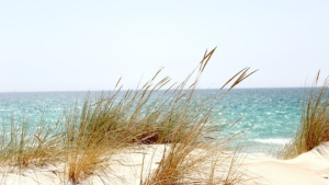 Πτώση της θερμοκρασίας πάνω από 5 βαθμούς κατά τόπους στα ανατολικά (και στην Αττική)