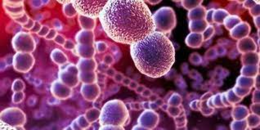 ΗΠΑ: Βακτήρια που προκαλούν τη σπάνια, αλλά θανατηφόρα, λοίμωξη μελιοείδωση εντοπίστηκαν στον Μισισιπή