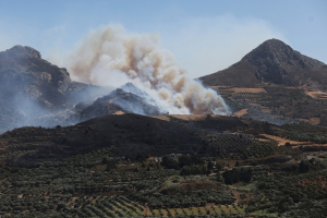 Πυρκαγιά στο Ρέθυμνο: Συνελήφθη ο υπεύθυνος λειτουργίας του δικτύου του ΔΕΔΔΗΕ