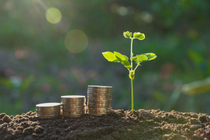 Εθνική Τράπεζα: Ανεβάζουν ρυθμό οι πράσινες επενδύσεις από βιομηχανικές ΜμΕ