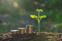 Εθνική Τράπεζα: Ανεβάζουν ρυθμό οι πράσινες επενδύσεις από βιομηχανικές ΜμΕ