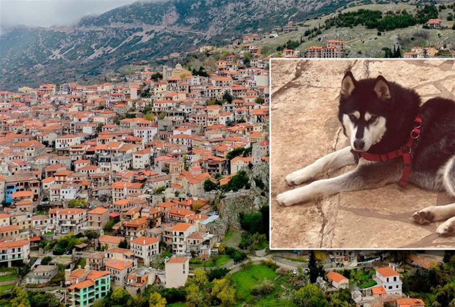 Τι απαντούν οι ξενοδόχοι Αράχωβας στην εκστρατεία μποϊκοτάζ εναντίον της περιοχής