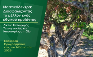 «Μαστιχόδεντρα: Διασφαλίζοντας το μέλλον ενός εθνικού προϊόντος»: Επέκταση του προγράμματος έως τον Μάρτιο του 2026